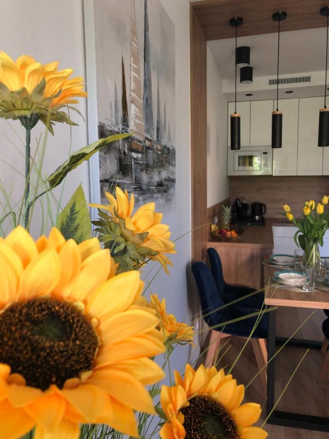 شقة Apartament Sloneczny By Rentoom Stary Toruń المظهر الخارجي الصورة