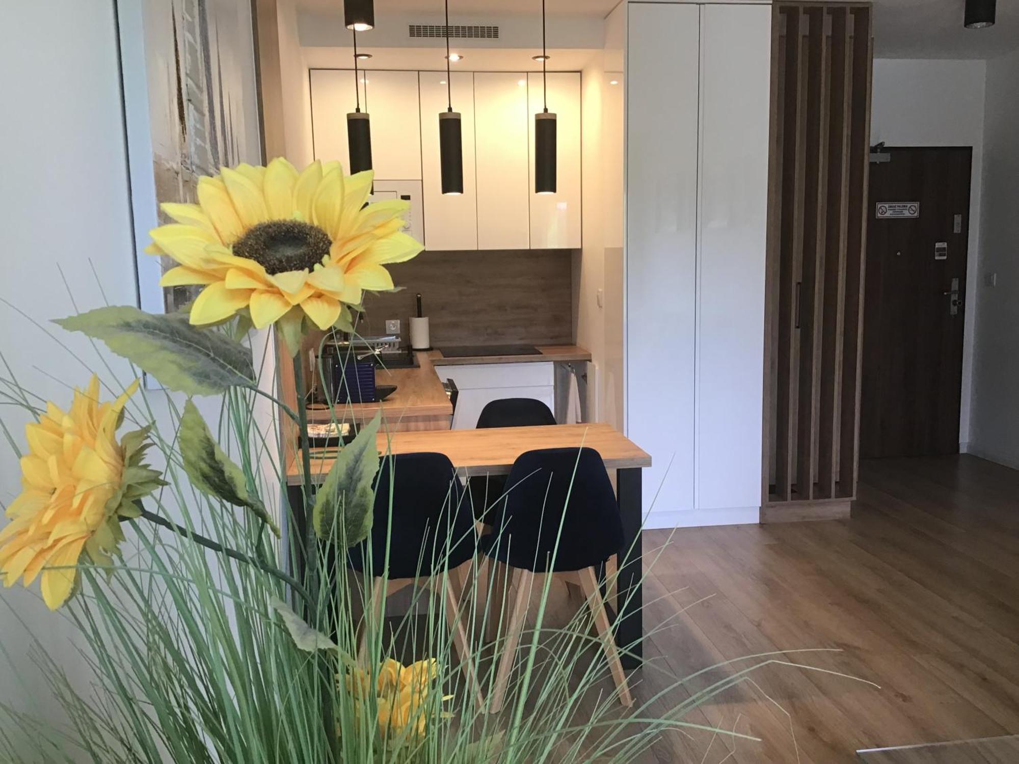 شقة Apartament Sloneczny By Rentoom Stary Toruń المظهر الخارجي الصورة